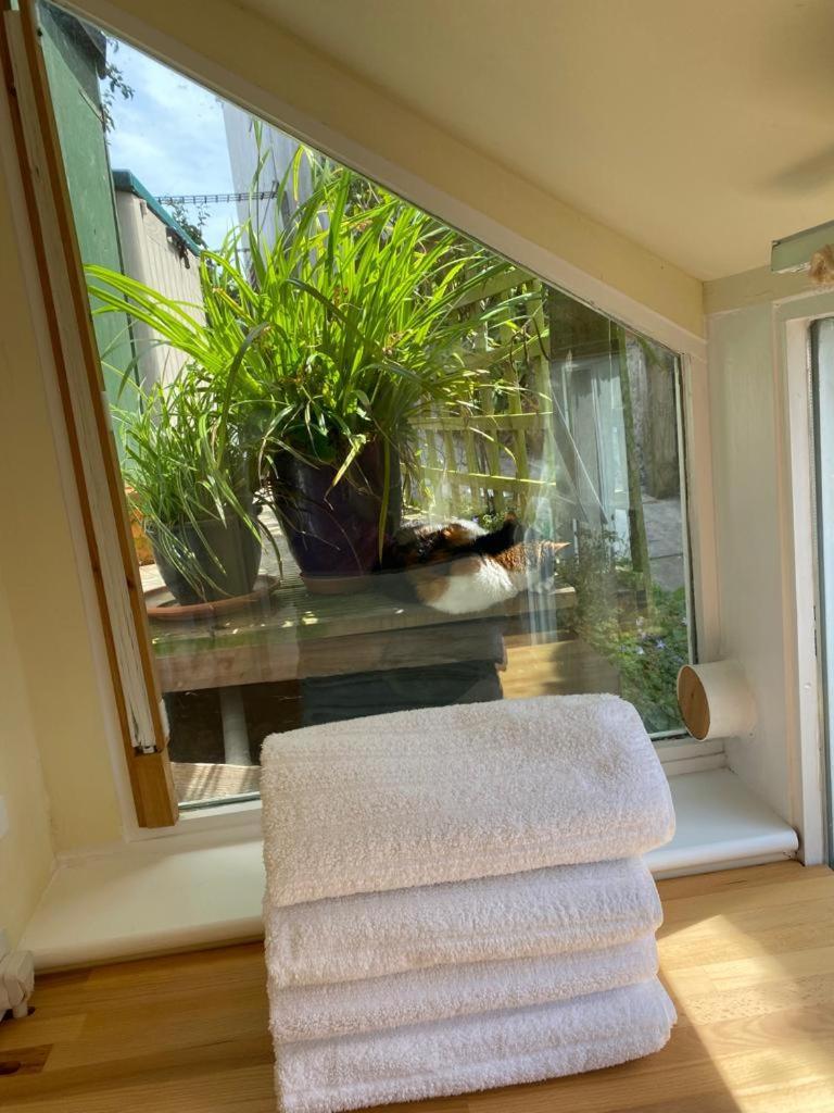 Lyme Clifftop Hideaway Lyme Regis Buitenkant foto
